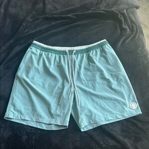 Chubbies: Men's Teal Swim Shorts